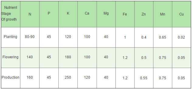 fertigation_tomato_table